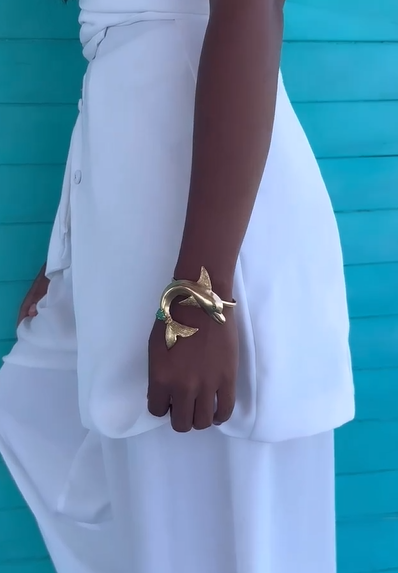 Brazalete Delfín
