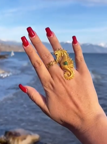 Anillo Caballito de mar